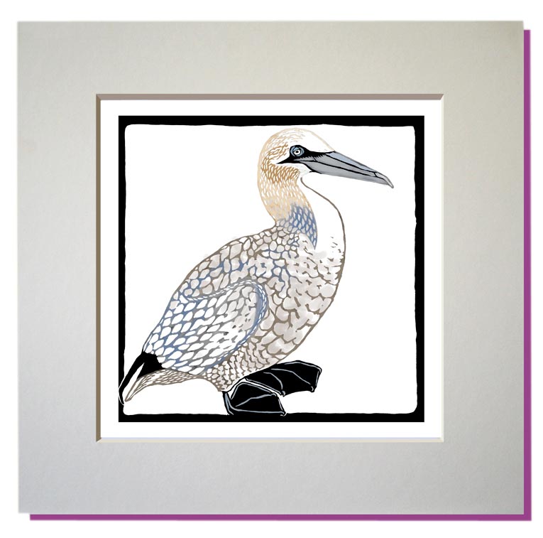 small mounted print gannet